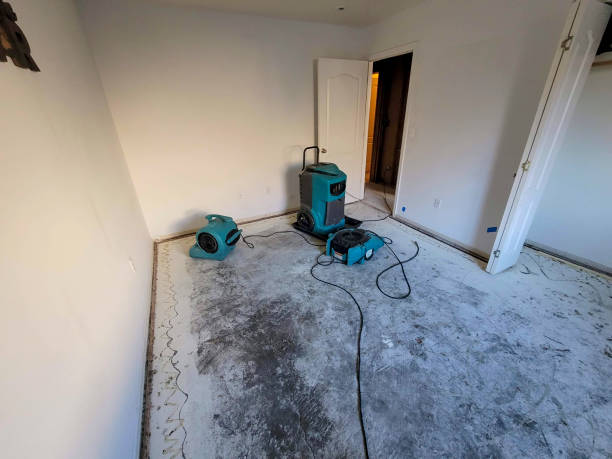 Best 24-hour water damage restoration  in Wallis, TX