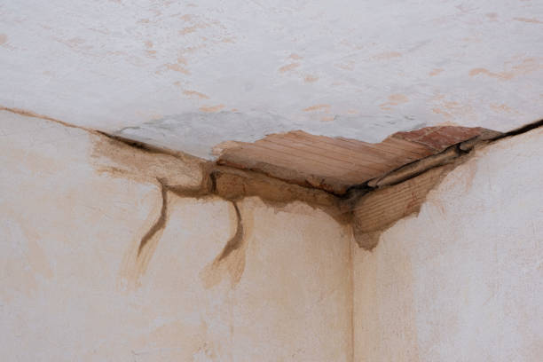 Best 24/7 water damage repair  in Wallis, TX