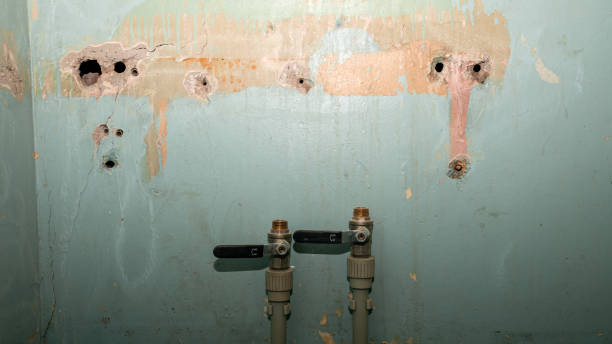 Best Mold removal after water damage  in Wallis, TX